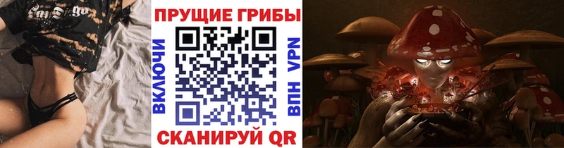 продажа наркотиков  Апшеронск  Псилоцибиновые грибы MAGIC MUSHROOMS 